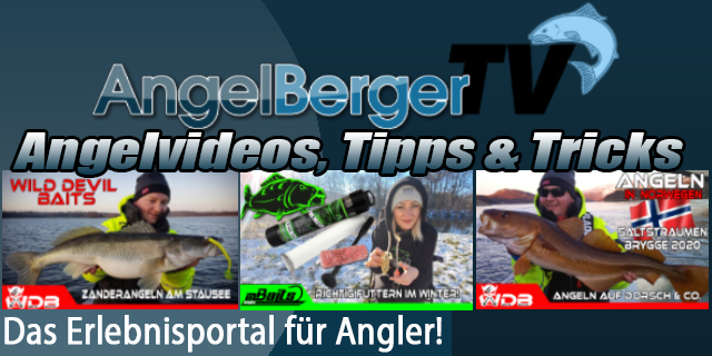 Angel Berger Media & Videobereich